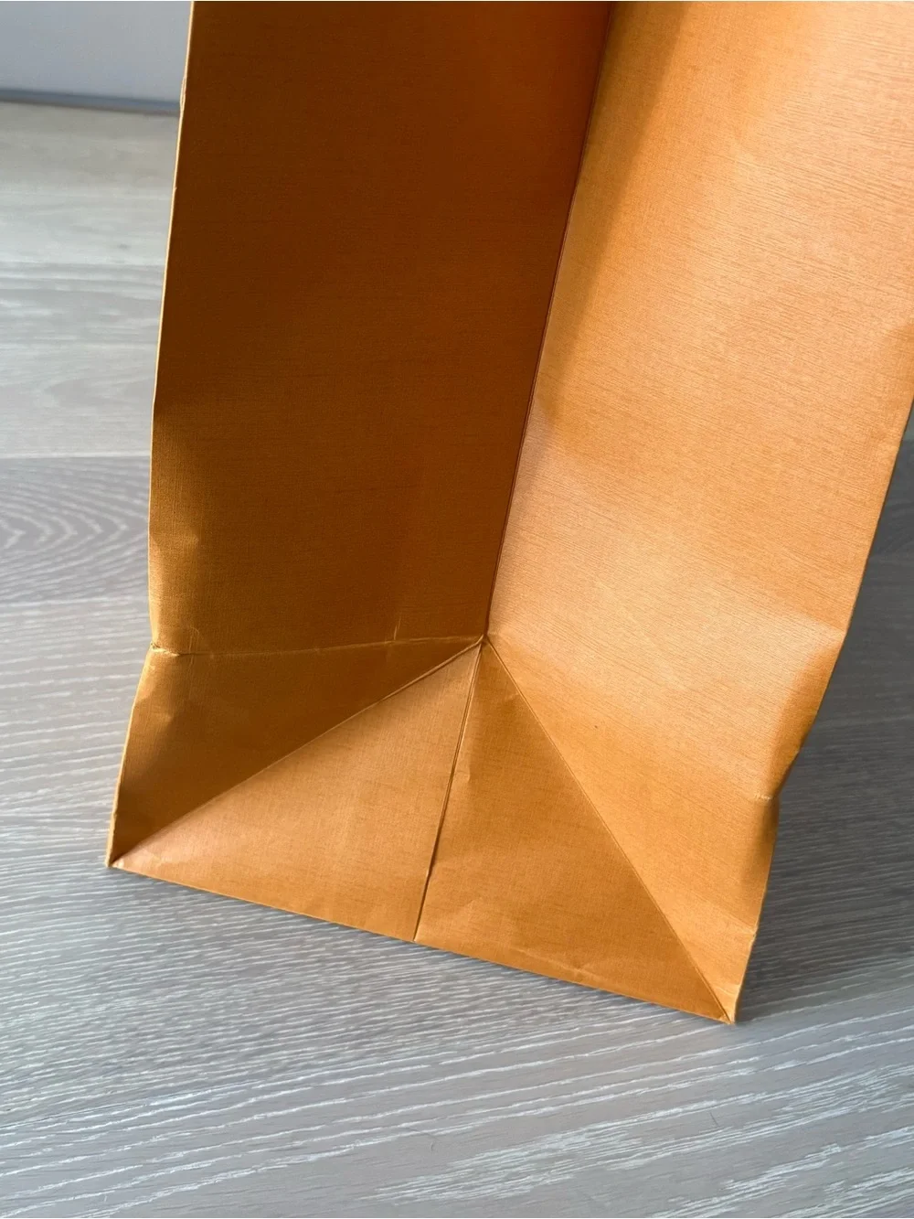 Louis Vuitton Medium Large Shopping Gift Bag